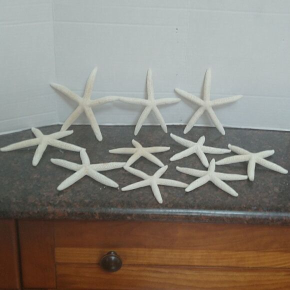 10 Faux Star Fish...New - Picture 1 of 3